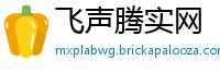 飞声腾实网